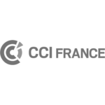CCI France